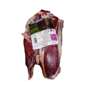 שריר הזרוע מספר 8