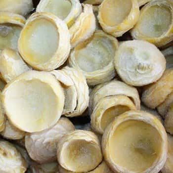 תחתיות ארטישוק תפז'